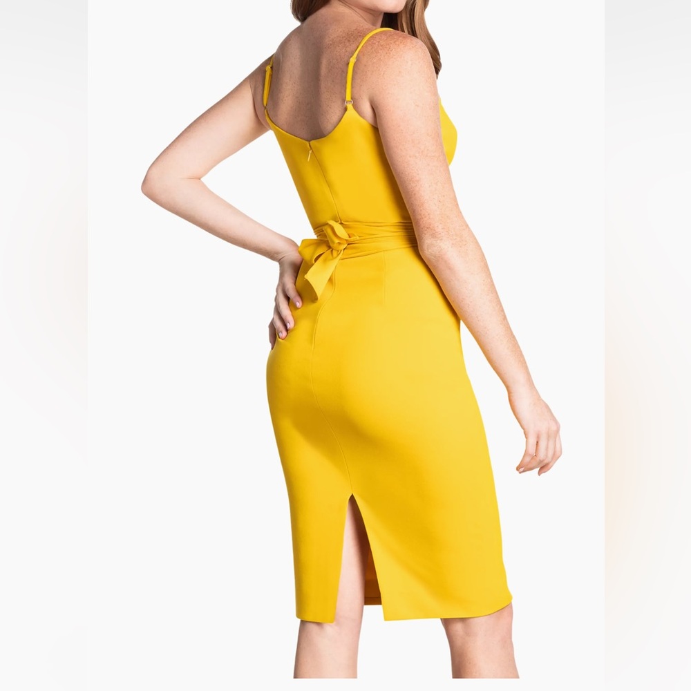 Dress the Population Veronique Belted Dress